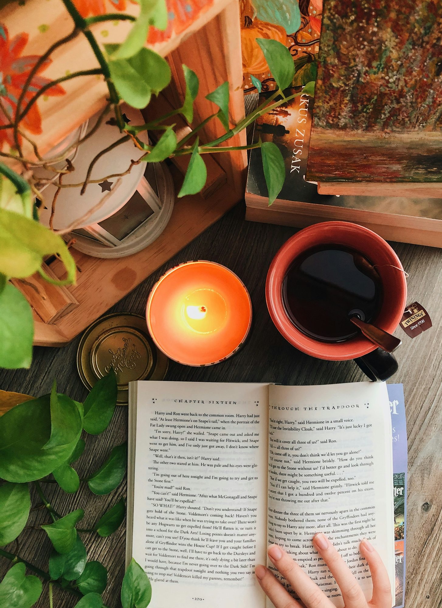 Libro abierto junto a una vela encendida, una taza de té y plantas